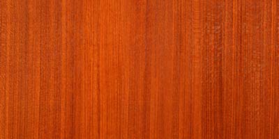 Transparent Redwood